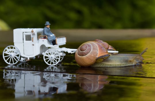Carriage ride with time