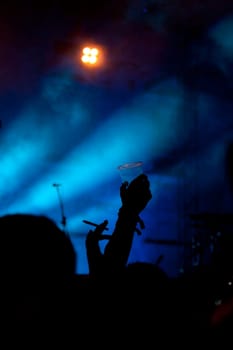 Crowd at  electric opan air concert at night