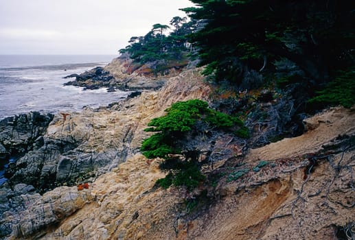 Point Lobos on Pacific Coast of California