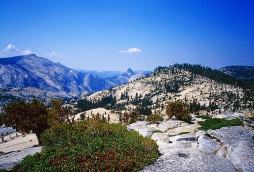 Yosemite National Park in California
