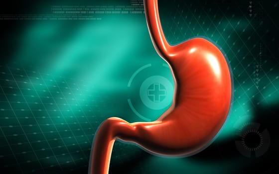 Digital illustration of stomach in colour background