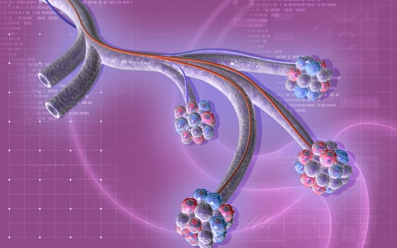 Digital illustration of alveoli in colour background