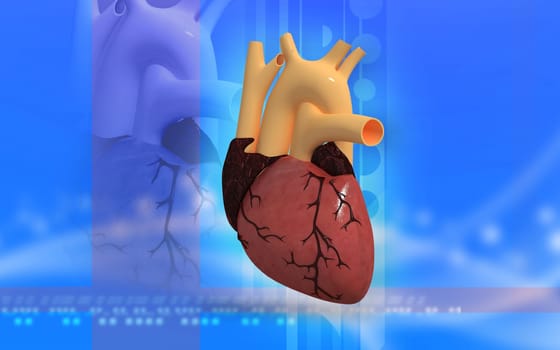 Digital illustration of heart in colour background