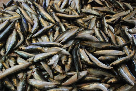 Sardine Sardines Fish Sardine Rolls Fish Market