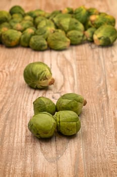 Fresh sprouts on a rustic wooden table