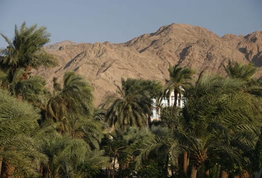 the Landscape allround the city of Aqaba on the red sea in Jordan in the middle east.