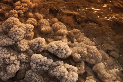 The coast with natural salt of the death sea neat the Village of Mazraa in Jordan in the middle east.