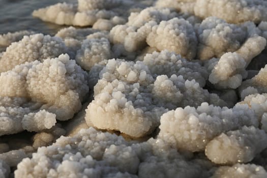 The coast with natural salt of the death sea neat the Village of Mazraa in Jordan in the middle east.