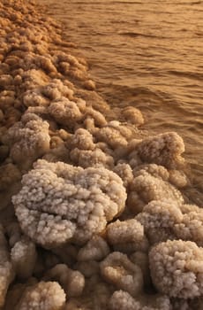 The coast with natural salt of the death sea neat the Village of Mazraa in Jordan in the middle east.