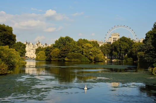 Pond in St. James's Park in London
