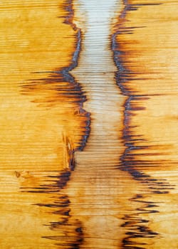 Structure and pattern in wood