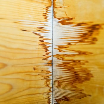 Water damage to wood wall