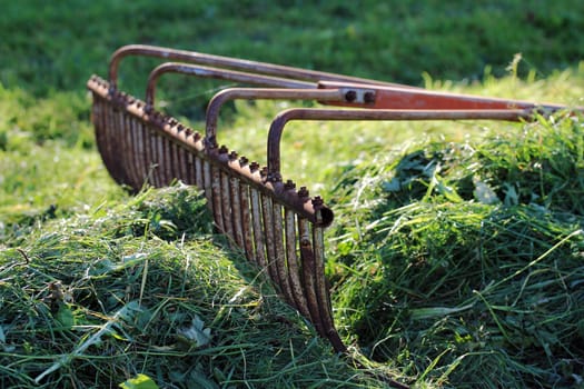 The train rake
