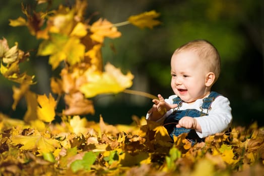 Beautiful baby sitting and playing  in fallen leaves - autumn scene
