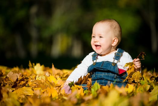 Beautiful baby sitting and playing  in fallen leaves - autumn scene