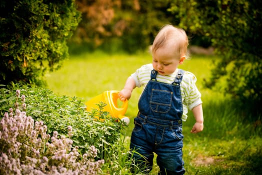 Little baby girl waters plants in backyard garden with watering can