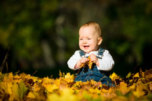 Beautiful baby sitting and playing  in fallen leaves - fall scene