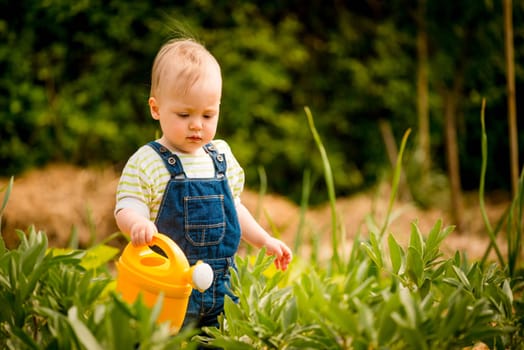 Little baby girl waters plants in backyard garden with watering can