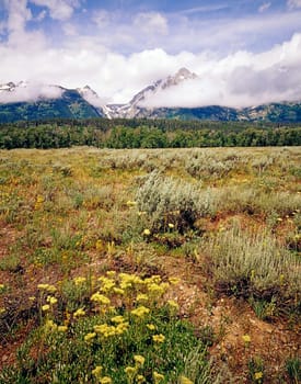 Grand Teton with clouds in Wyoming
