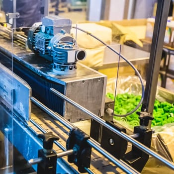 Automatic packing line of conveyor. Pharmaceutical and chemical industry. Manufacture on factory