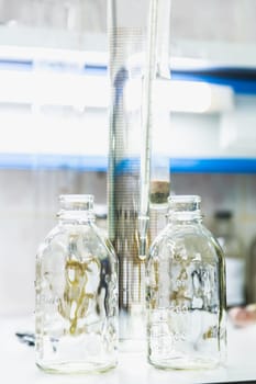 Empty glass bottles on table. Research laboratory glassware