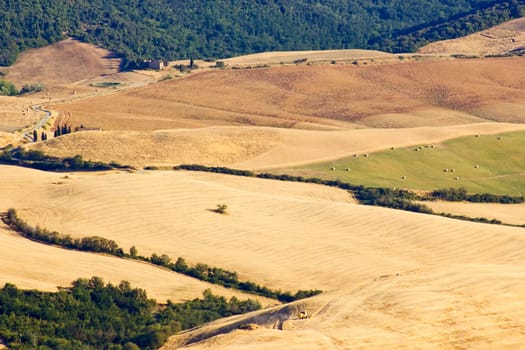 view of typical Tuscany landscape in summer, Italy