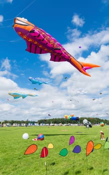 Colorful kites at the 5th international kite festival on july 6, 2014 in Twenterand, Netherlands.Most of the participants are from Germany and Belgium.