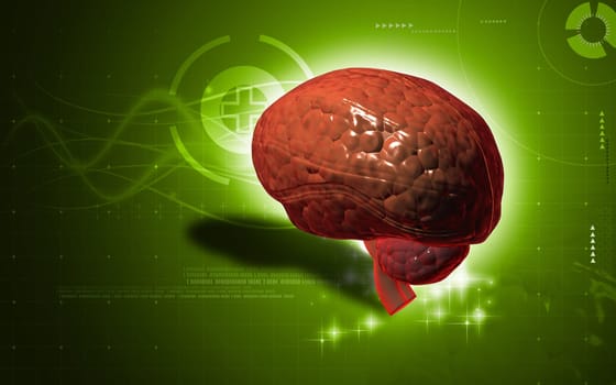 Digital illustration of brain in colour background