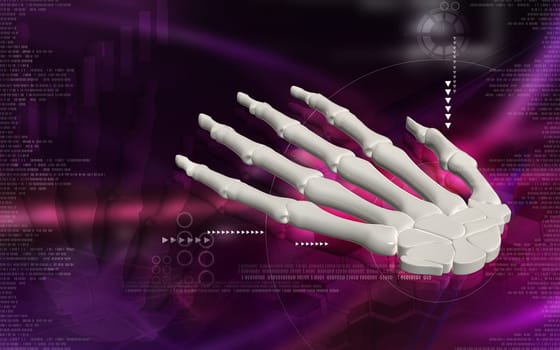 Digital illustration of hand bone in colour background