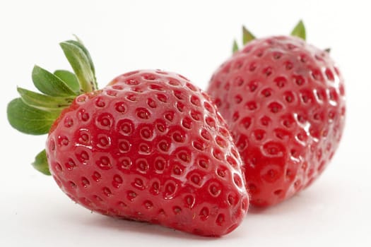 Fruit Photography