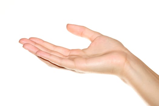 A human hand on white background