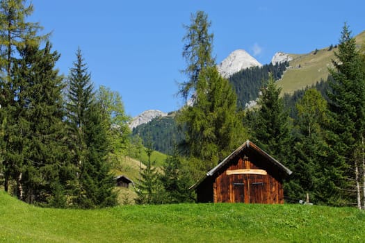 Wooden house in the Alps