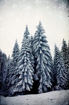 Vintage Christmas background with snowy fir trees
