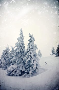 Vintage Christmas background with snowy fir trees