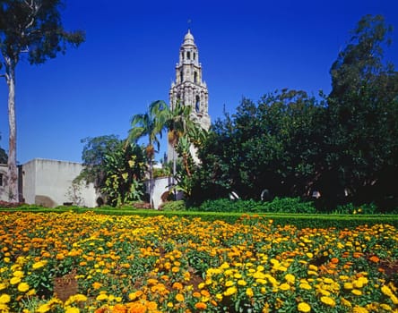 Gardens in Balboa Park,San Diego