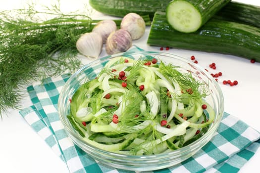 a bowl of cucumber salad with dill and red pepperberries