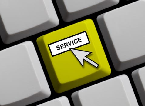 Service online