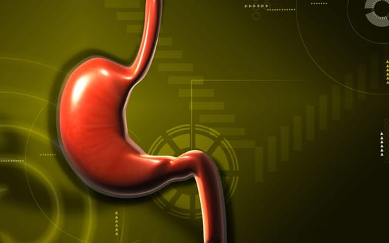 Digital illustration of stomach in colour background