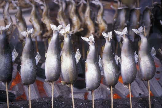 a fish  Shop in the City centre of Tokyo in Japan in Asia,....