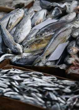 The Fishmarket in the old Town of Catania in Sicily in south Italy in Europe.