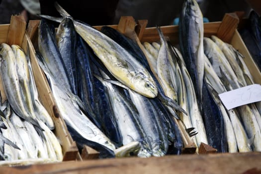 The Fishmarket in the old Town of Catania in Sicily in south Italy in Europe.