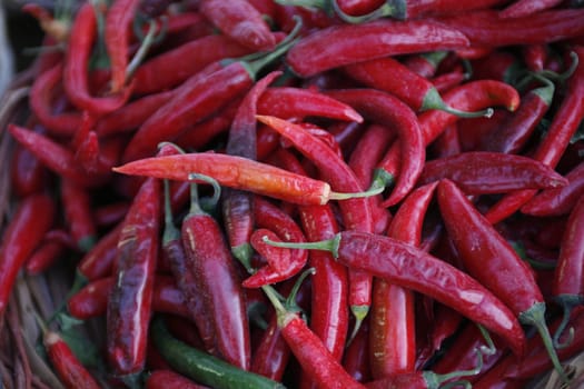chily on the market in the old Town of Siracusa in Sicily in south Italy in Europe.