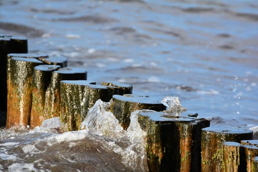on the Baltic Sea