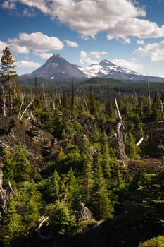 A rare view of a special place called McKenzie Pass