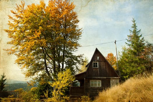 Small cottage in autumn forest