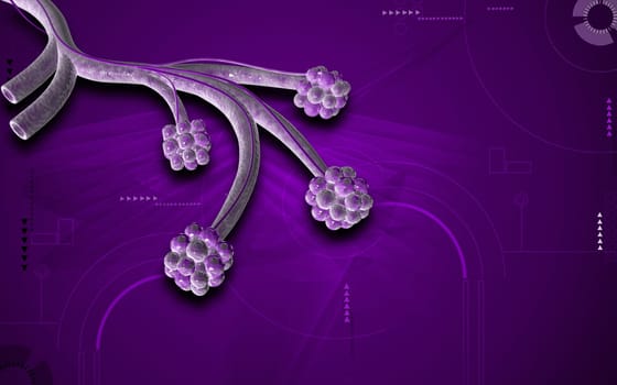 Digital illustration of alveoli in colour background