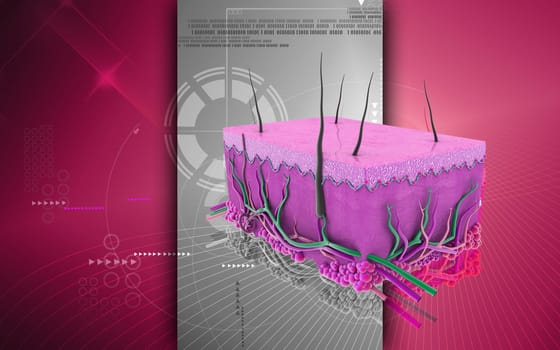 Digital illustration of Skin in colour background