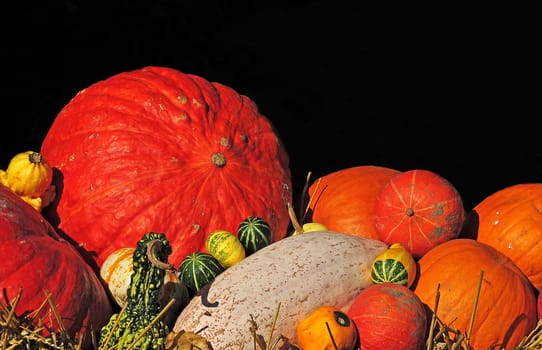 Pumpkins