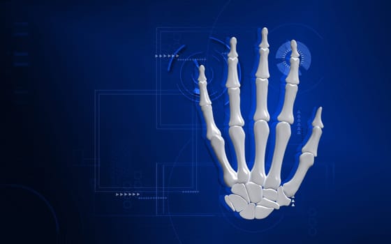 Digital illustration of hand bone in colour background