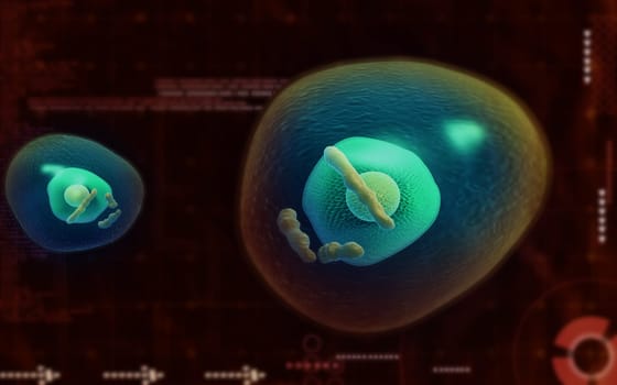 Digital illustration of ovum cell in colour background